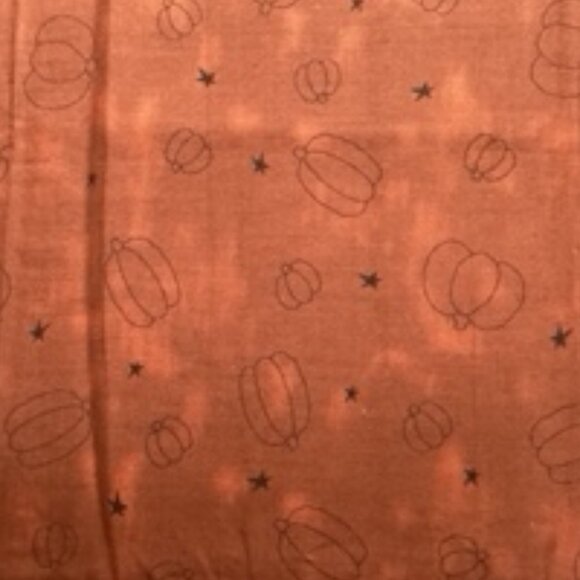 2 Thanksgiving panels plus 1 yard - Picture 4 of 4